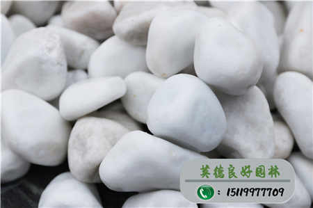 直供白色鵝卵石
