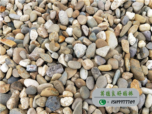 河道鵝卵石